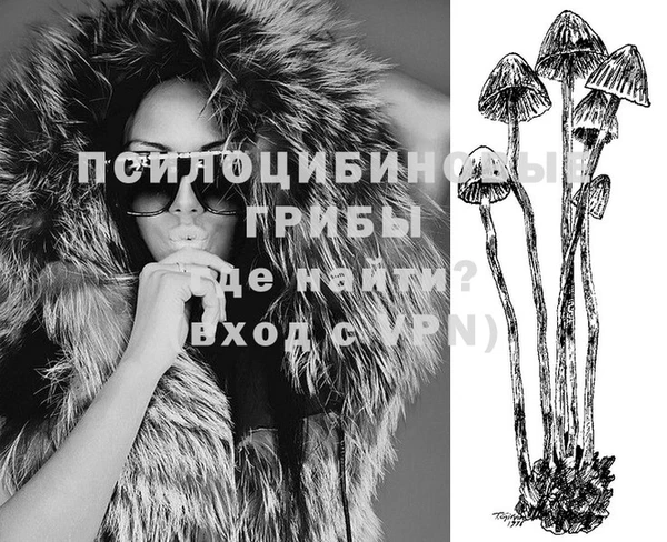 молекула духа Алзамай