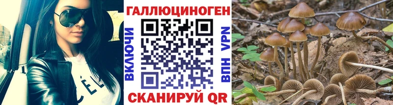 Псилоцибиновые грибы Magic Shrooms  наркотики  Плавск 